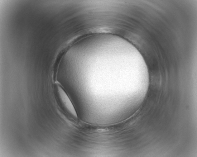 X0000068320302200605122103