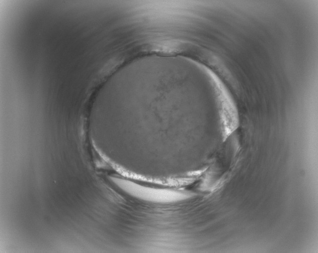 X0000068320305200605122103