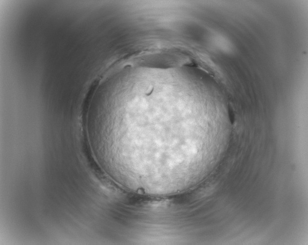 X0000068320306200605122103