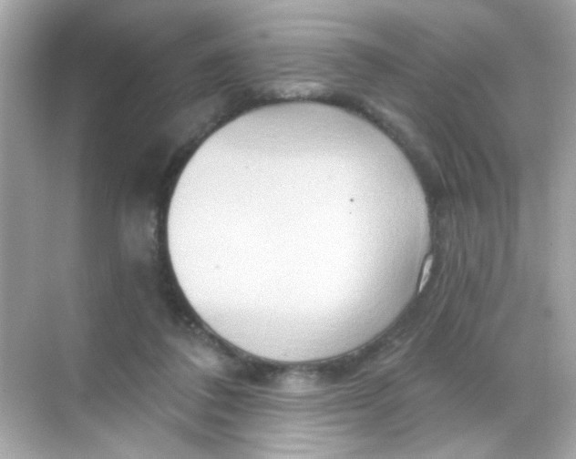 X0000068320308200605122103