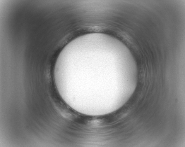 X0000068320312200605122103
