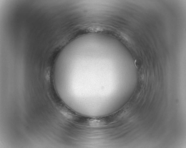 X0000068320315200605122103