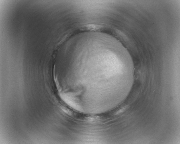 X0000068320317200605122103