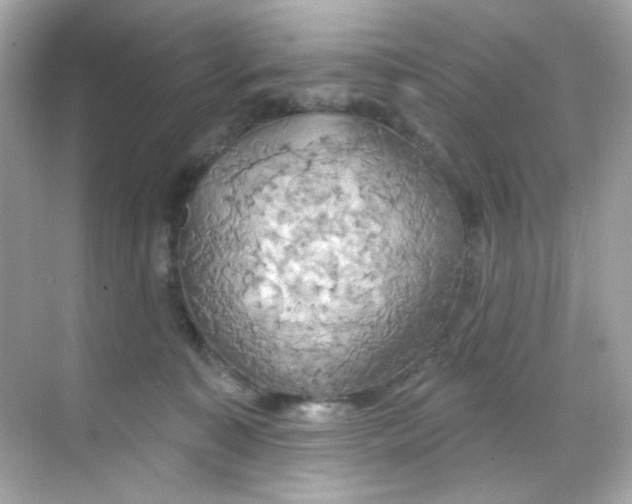 X0000068320323200605122103