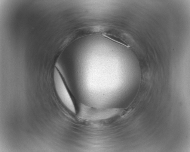X0000068320325200605122103