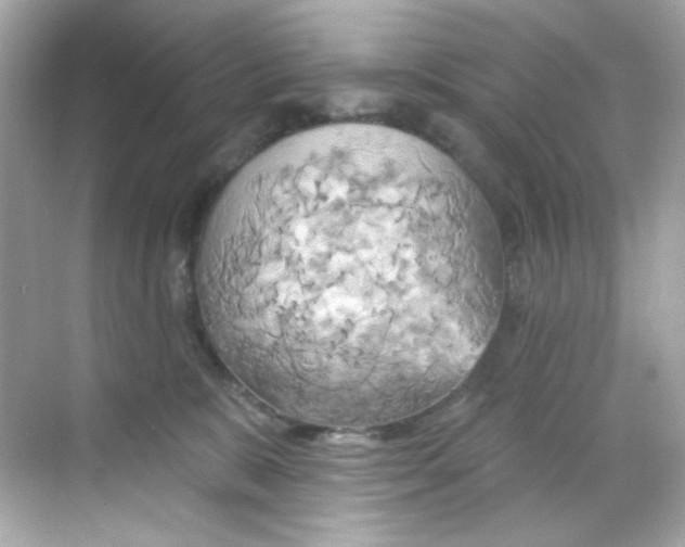 X0000068320327200605122103