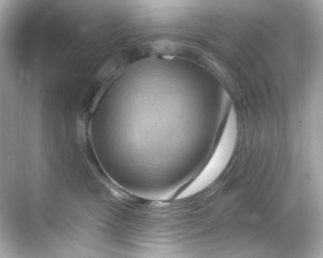 X0000068320333200605122103