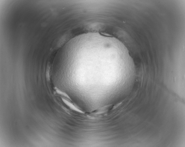 X0000068320334200605122103