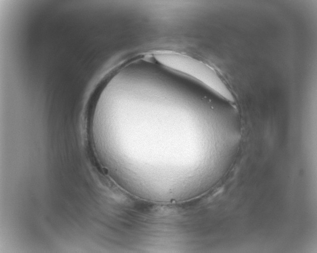 X0000068320343200605122102