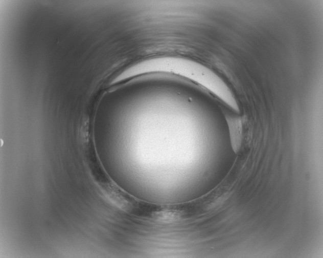 X0000068320356200605122102