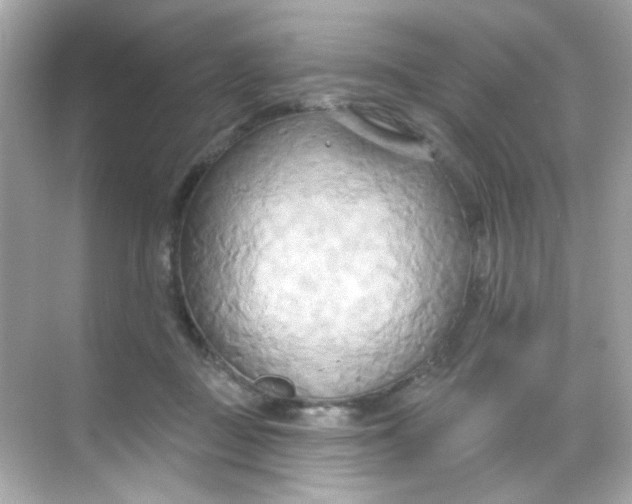 X0000068320363200605122102