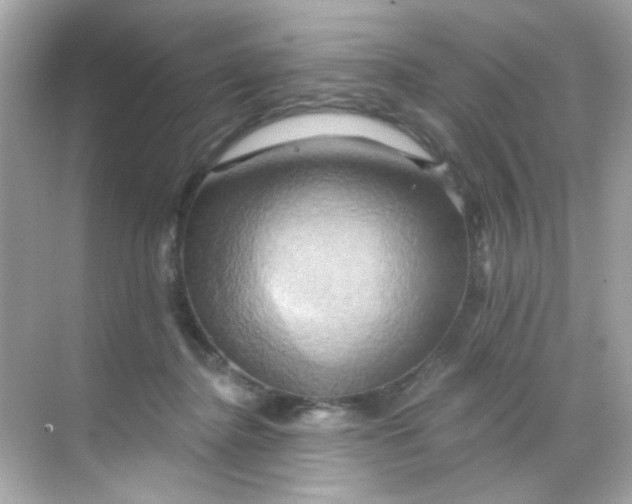 X0000068320364200605122102