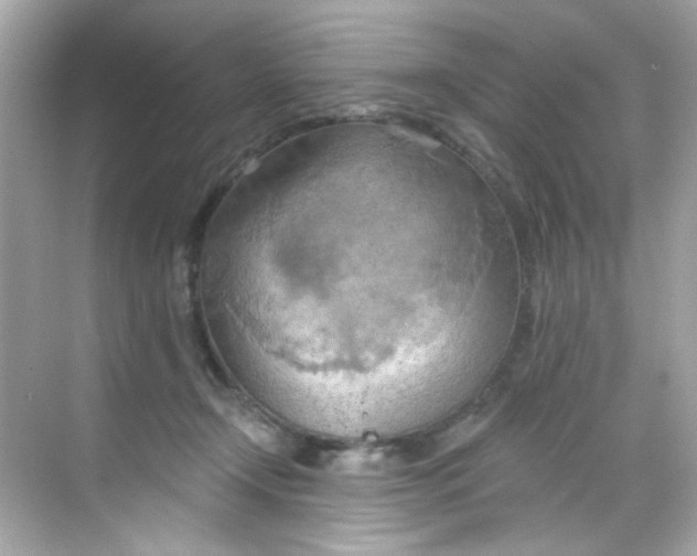 X0000068320366200605122102