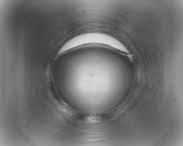 X0000068320372200605122102
