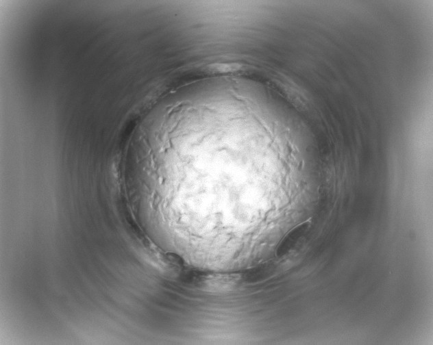 X0000068320373200605122102