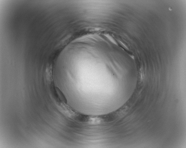 X0000068320376200605122103
