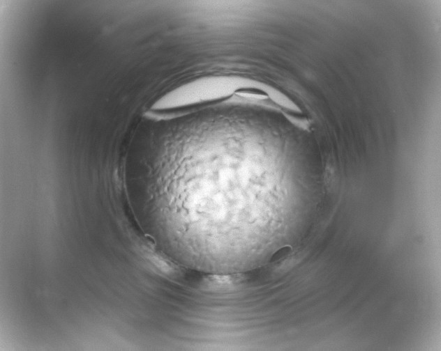 X0000068320381200605122103