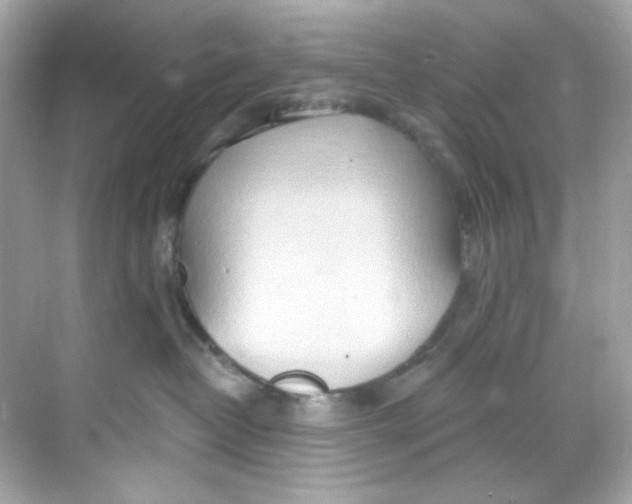 X0000068320382200605122103