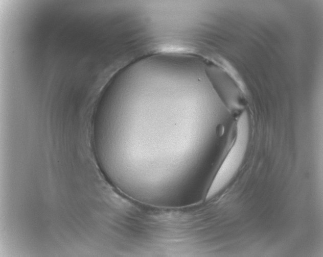 X0000068320385200605122102