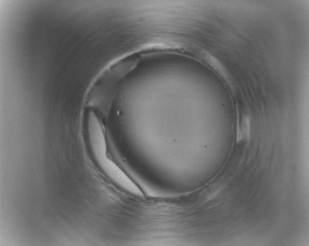 X0000068320387200605122102