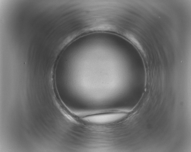 X0000068320389200605122102