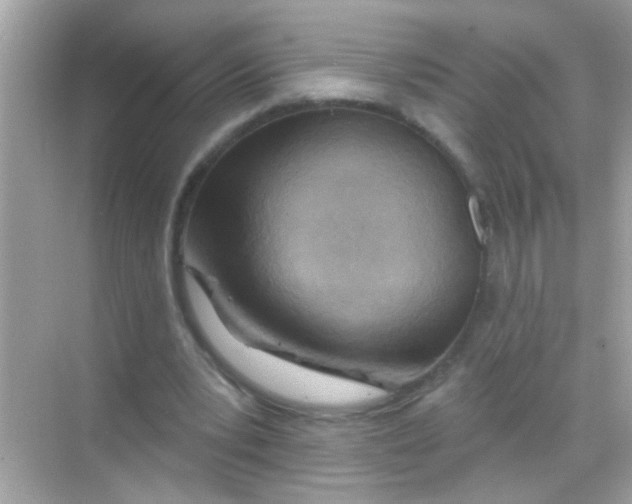 X0000068320391200605122102