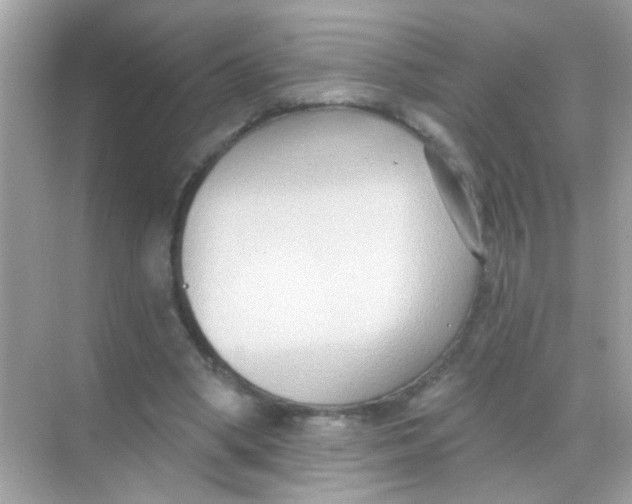 X0000068320394200605122102