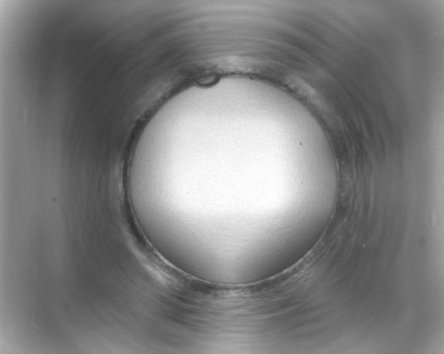 X0000068320398200605122102