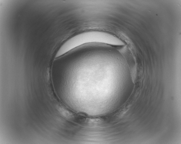 X0000068320401200605122102