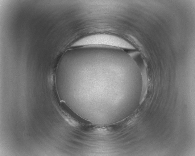 X0000068320405200605122102