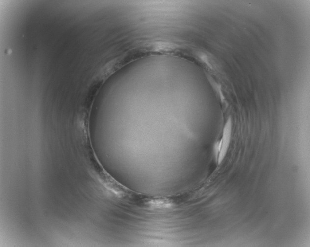 X0000068320415200605122101