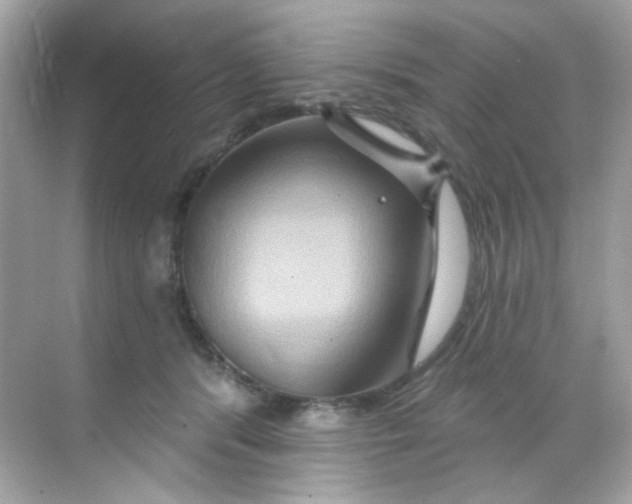 X0000068320416200605122101