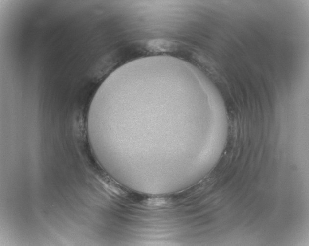 X0000068320418200605122101
