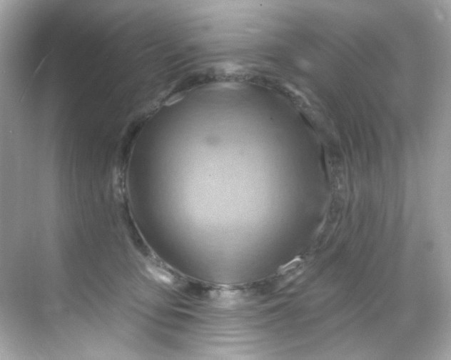 X0000068320419200605122101