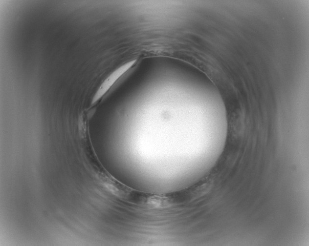 X0000068320420200605122101
