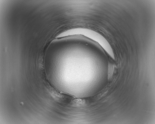 X0000068320421200605122101