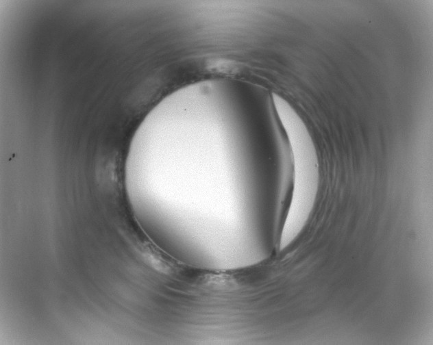 X0000068320424200605122101