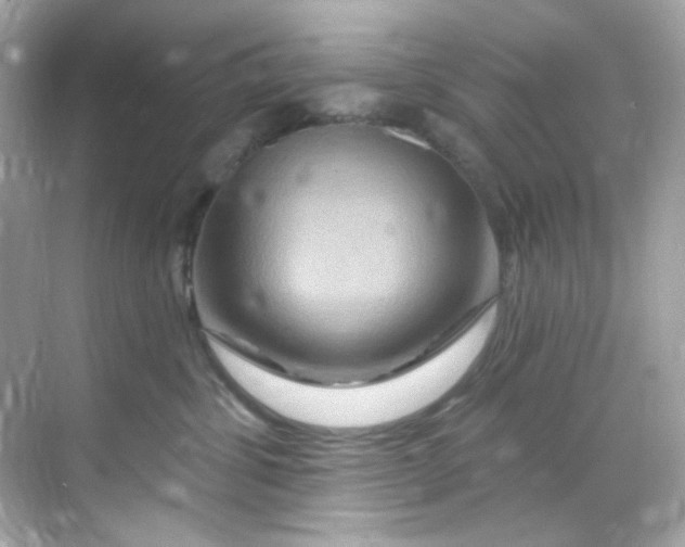 X0000068320428200605122101