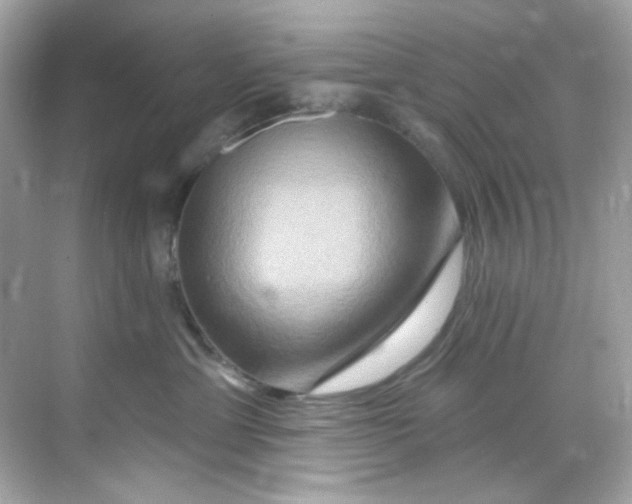 X0000068320429200605122101