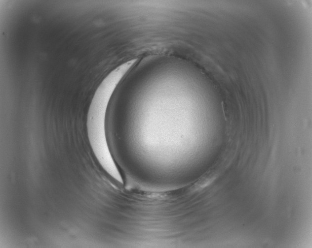X0000068320432200605122101