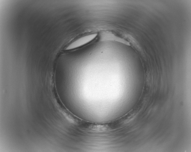 X0000068320449200605122101