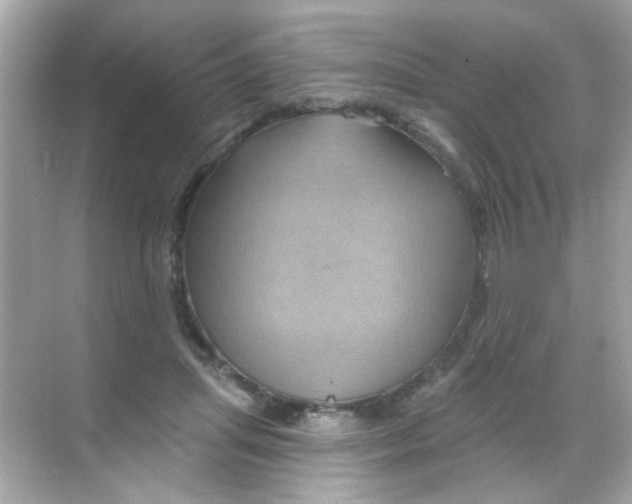X0000068320455200605122101