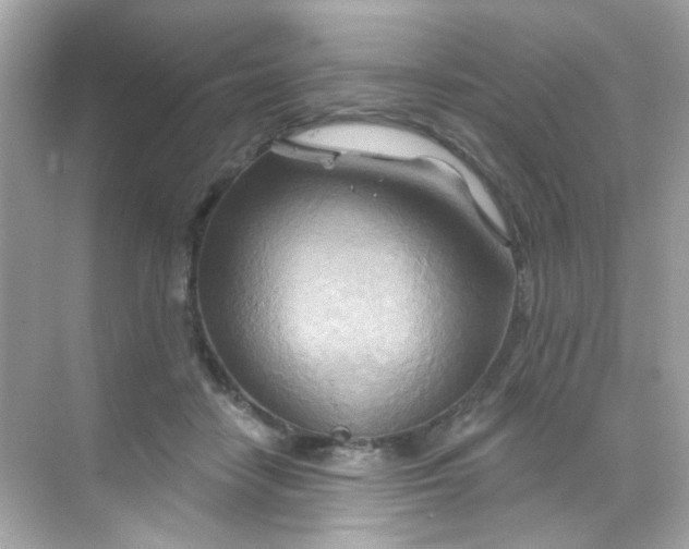 X0000068320458200605122101