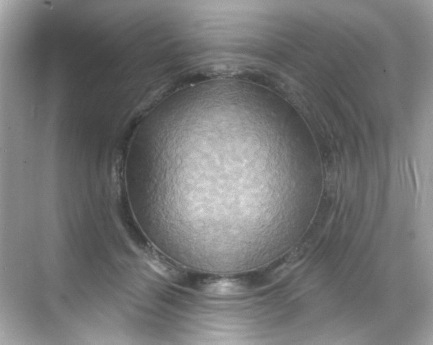 X0000068320460200605122101