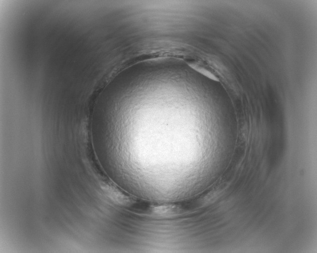 X0000068320461200605122101