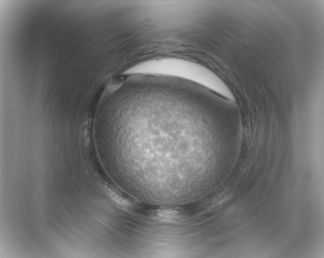 X0000068320462200605122101