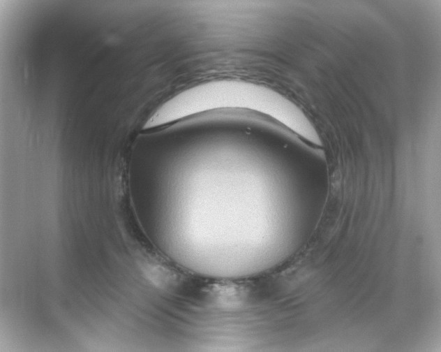 X0000068320464200605122101