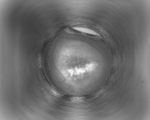 X0000068320465200605122101