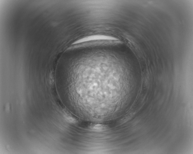 X0000068320467200605122101
