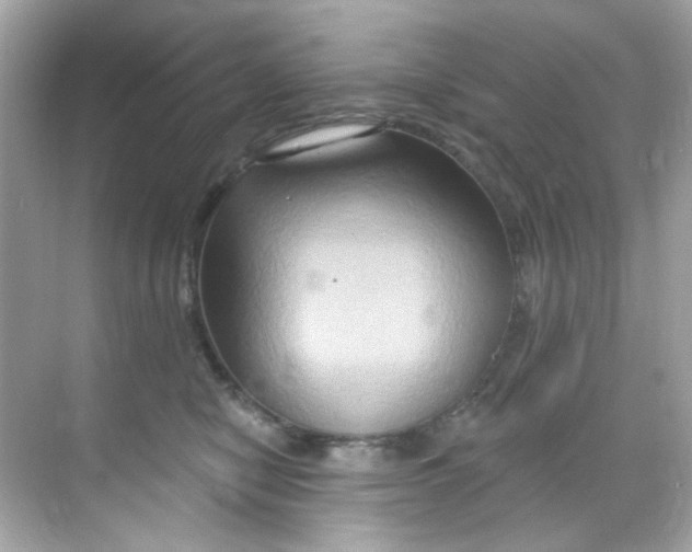 X0000068320470200605122101